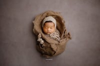 Image 3 of  Thick Wool Felted Layer - Earth Brown