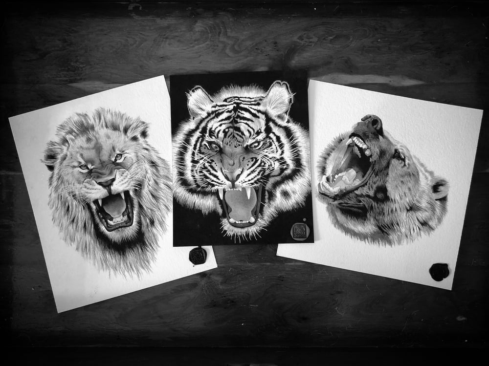 Image of Tigers, Lions, and Bears Watercolor Paintings