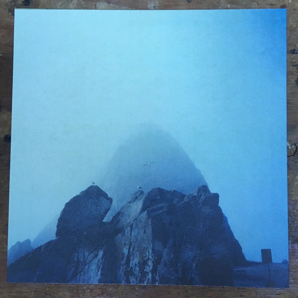 Albums Little Wings New Teal Museum And Souvenir Archive