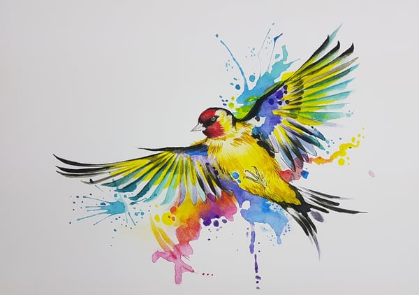 Image of Goldfinch A4 size 
