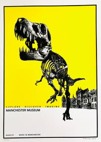 Explore Discover Imagine Manchester Museum 