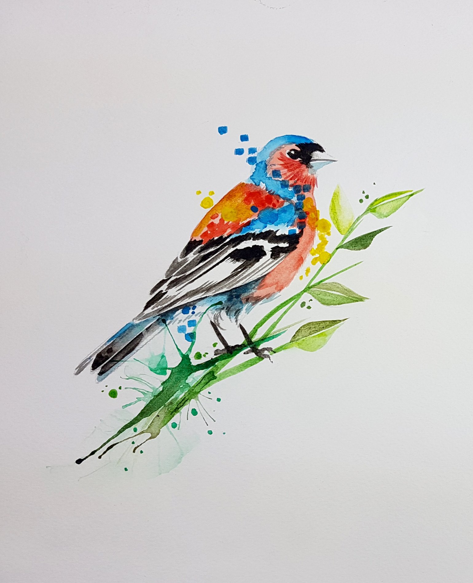 Image of Ben’s Chaffinch A4 size 