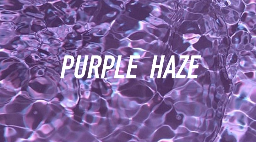 Image of PURPLE HAZE