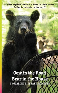 Cow in the Road ~ Bear in the House