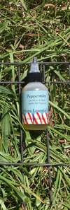 Peppermint Hair & Body Oil