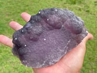 Image 16 of Purple Botryoidal Fluorite With Cubic Pyrite Specimen #447 