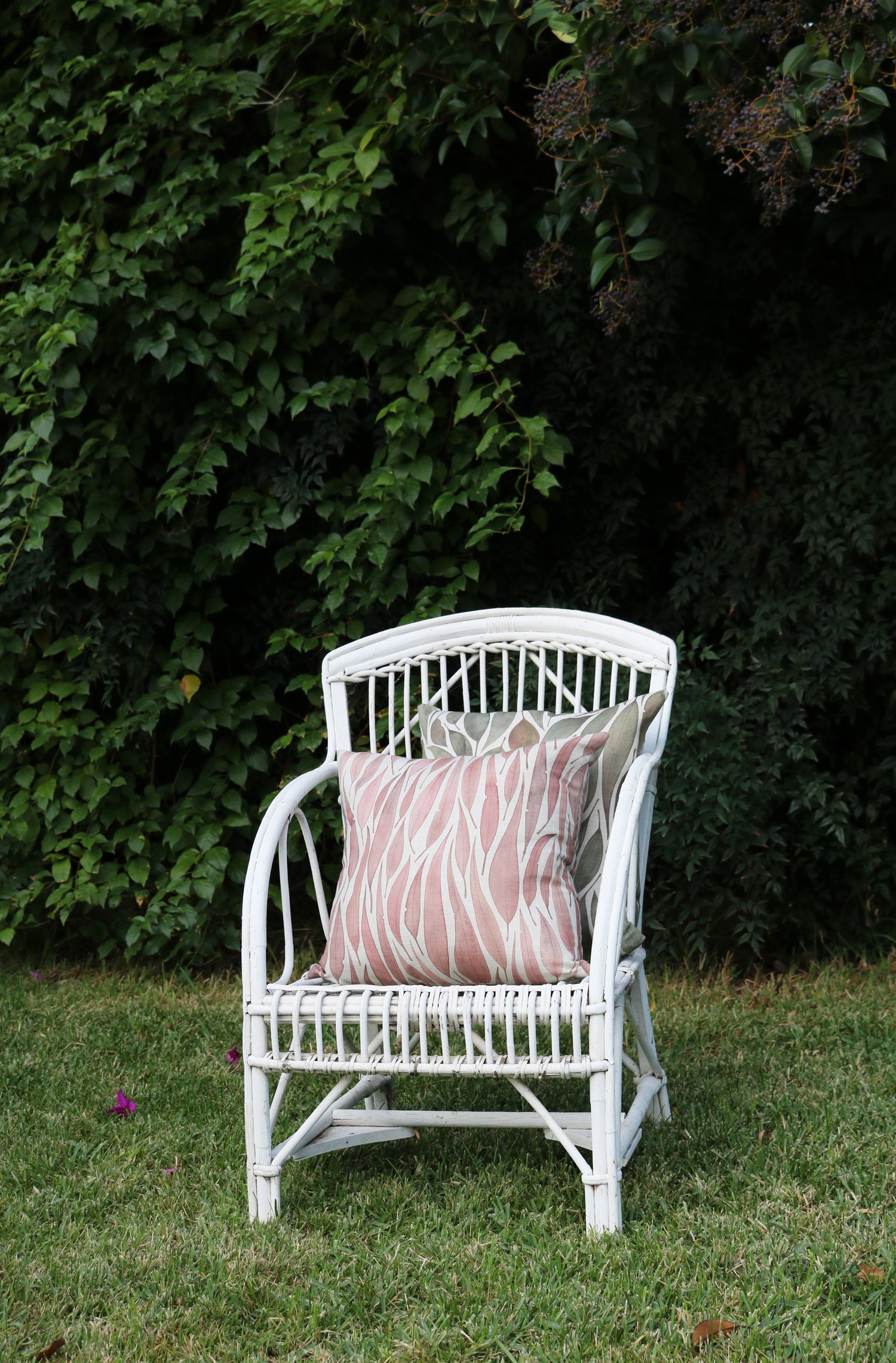 Meander Designs — Pink Eucalyptus Leaves Belgian Cotton Linen Cushion