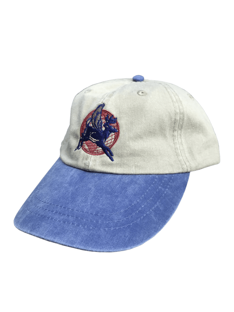 Image of EXPRESS 6-PANEL CAP