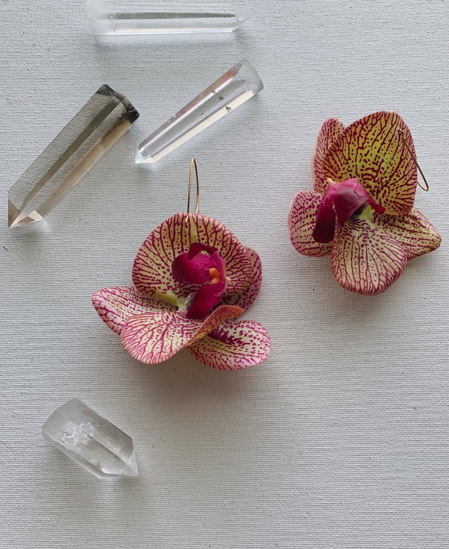 Image of FLOWER GANG :: Striped Orchid Earrings 