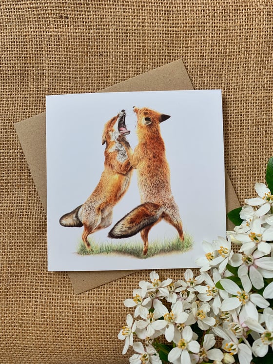 Image of ‘Fighting Foxes’ greetings card