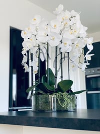 Image 2 of XL orchid arrangement 