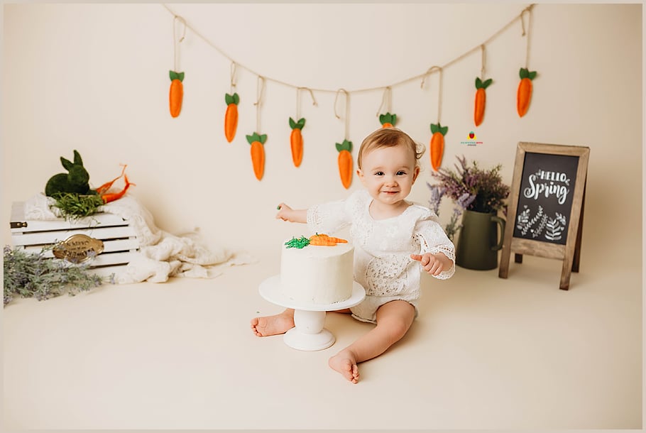 Image of First Birthday Session