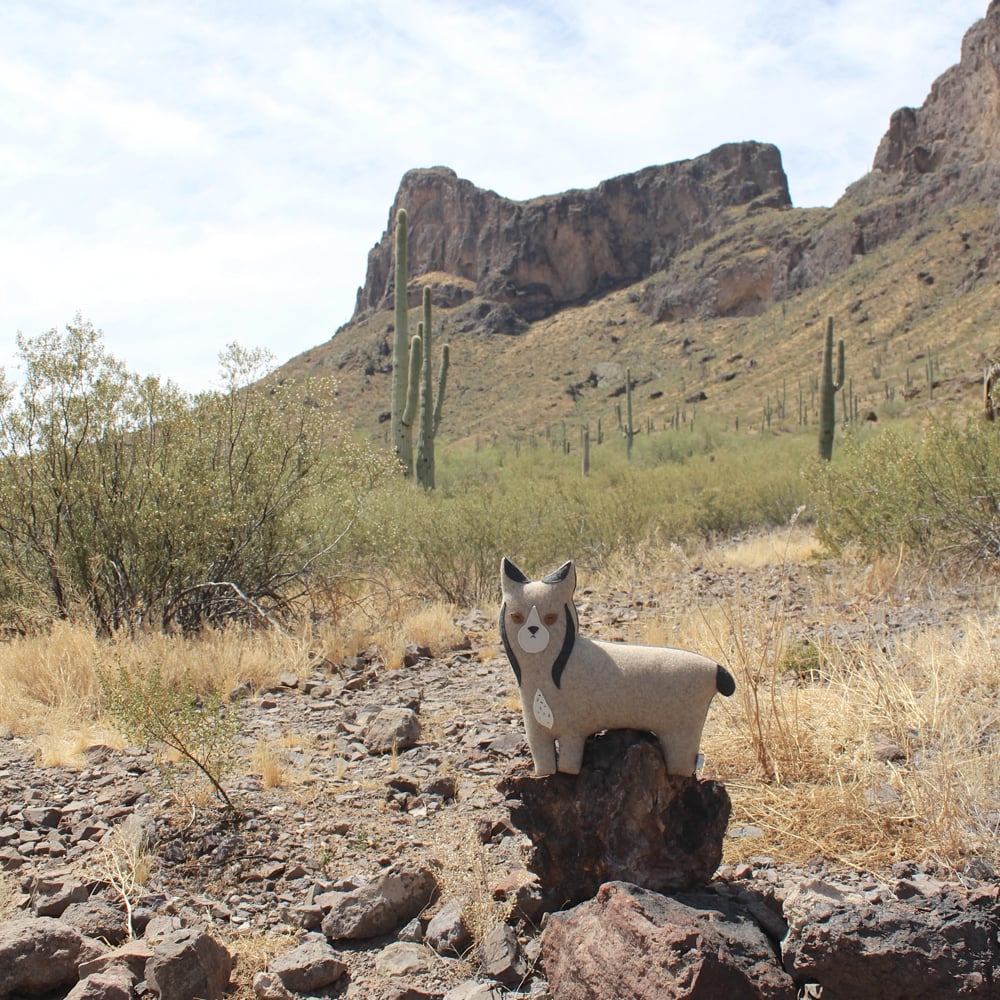 Image of the Bobcat