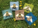 Image 2 of Bumblebees!! 