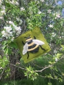 Image 1 of Bumblebees!!