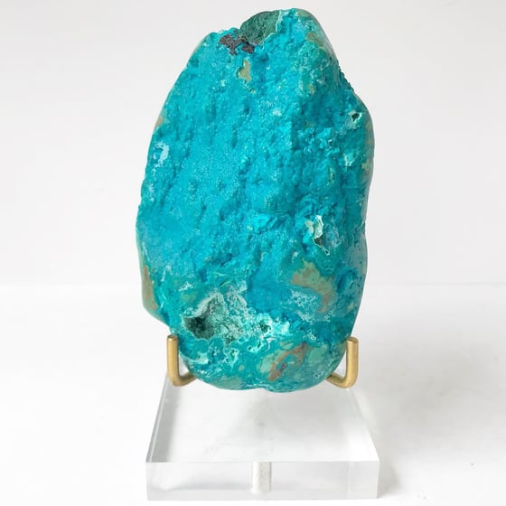 Image of Chrysocolla no.04 Scarab Collection Lucite Pairing