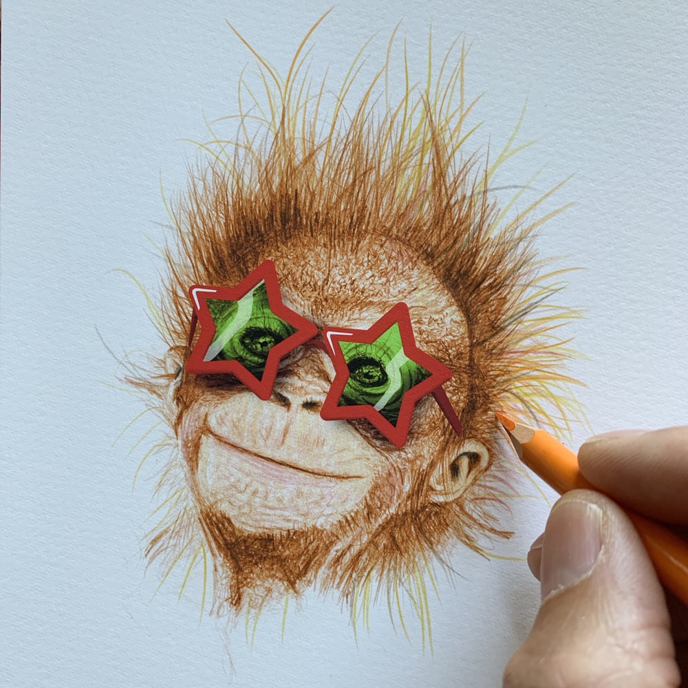 Image of Funky Monkey