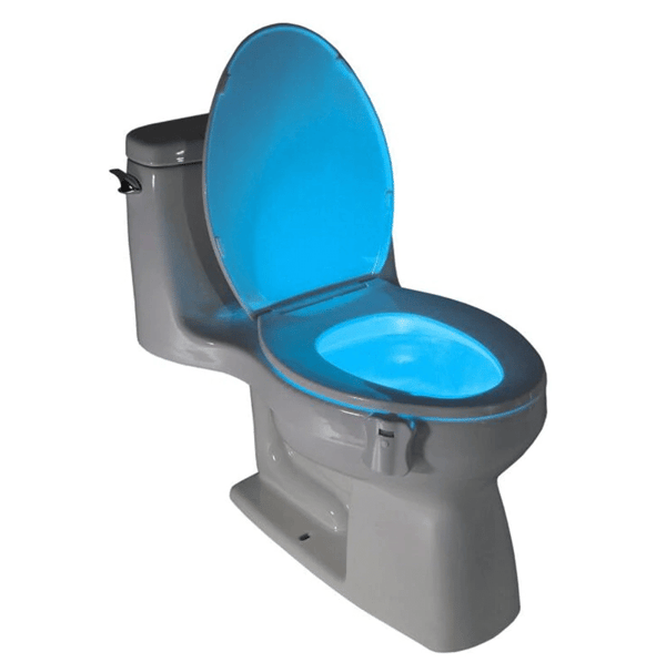 Image of The Toilet Light