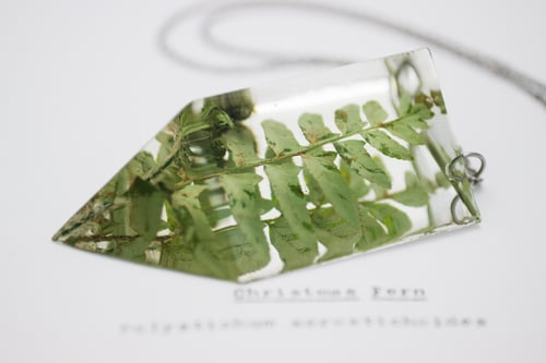 Image of Christmas Fern (Polystichum acrostichoides) - Chunky Statement Pendant #1