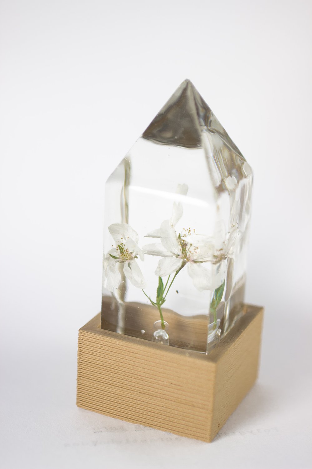 Image of Crabapple (Malus) - Floral Prism Light #1