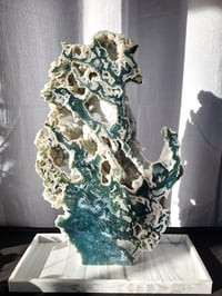 Image 2 of 8.5lb Moss Agate XL Slab Crystal Specimen 
