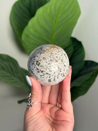 Image 1 of SEA JASPER SPHERE -MADAGASCAR- G