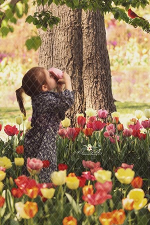 Image of Spring Things Backgrounds Sampler Set 