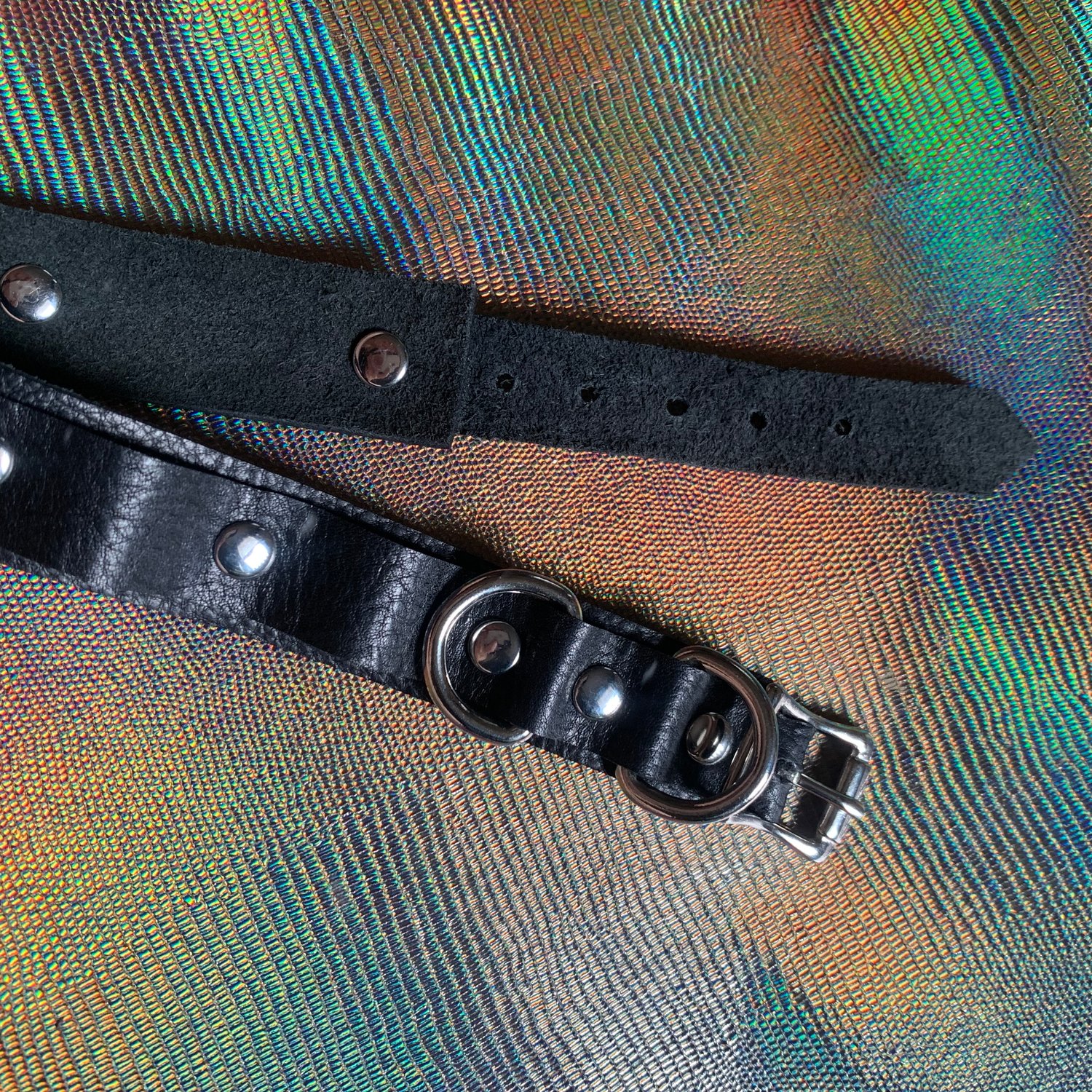 Studded Pet Collar lead & tag attachments Occult Collection