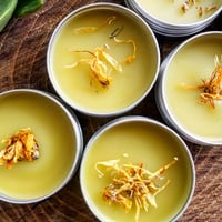 Calendula Healing Salve 