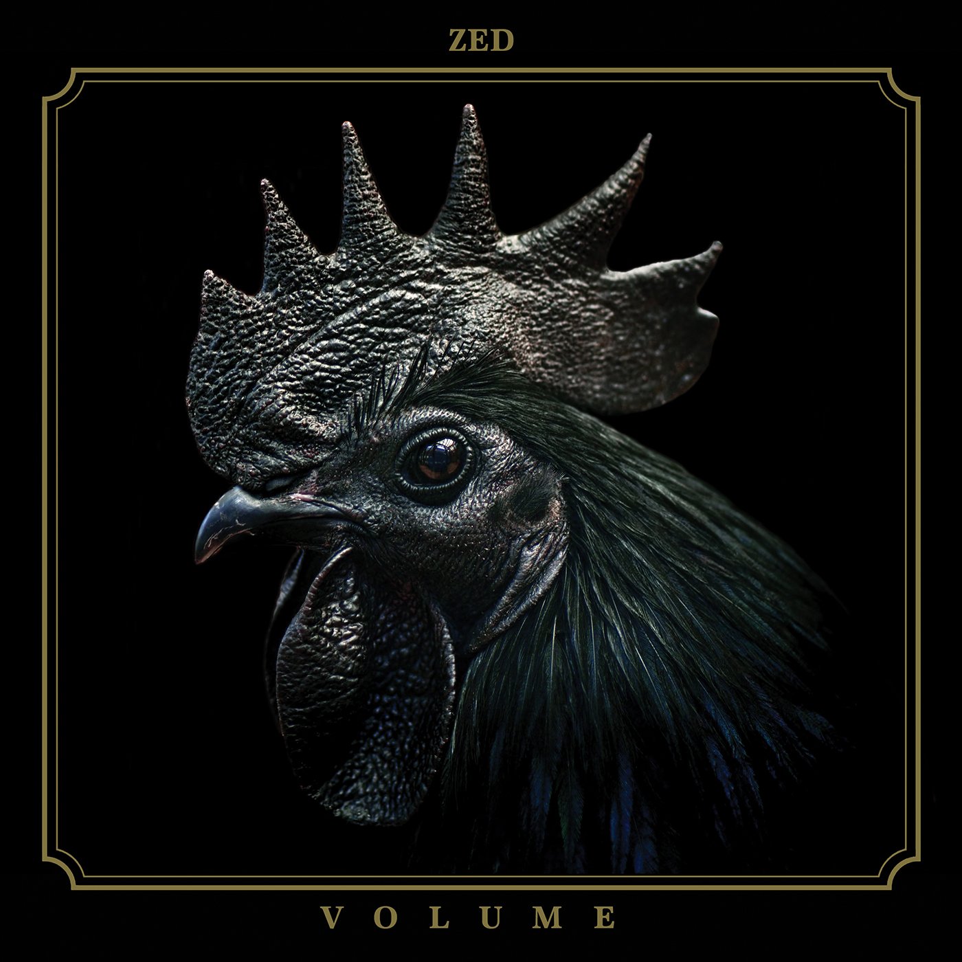 Image of ZED - Volume Limited Edition Black Vinyl LP