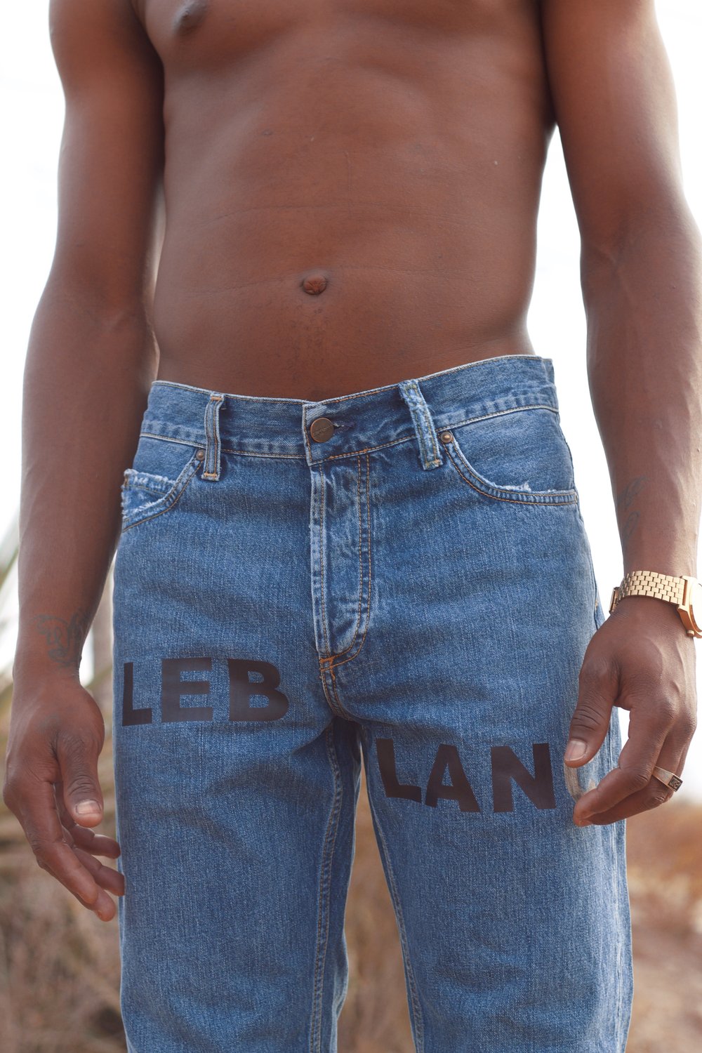 Image of Carhartt / Leblanc Texas II denim pants