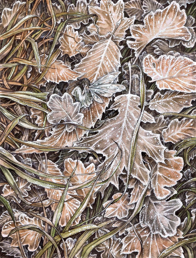 Image of 'The First Frost' by Adam Oehlers