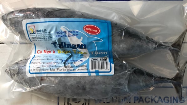 Image of Bullet Tuna 300-500 500g