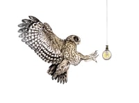 Image 2 of 'Until the Light' Limited Edition Print