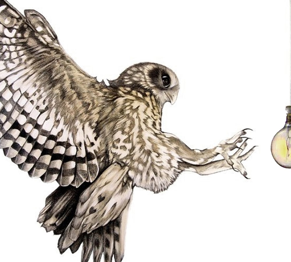 Image of 'Until the Light' Limited Edition Print