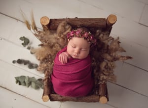 Image of BABIES 6wks-12wks