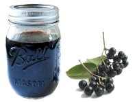 Image 1 of Organic Elderberry Tonic Kit