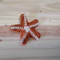 Image 1 of Starfish 