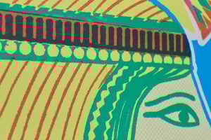 Image of Girl Wearing Lotus Flower by Charlie Evaristo-Boyce