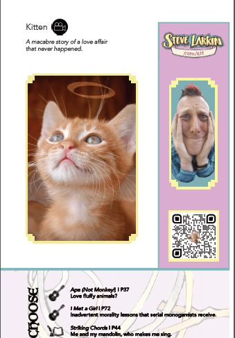 Image of Your Own Steve Larkin Poetry Adventure by Steve Larkin