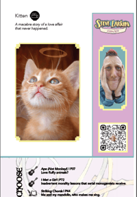 Image 2 of Your Own Steve Larkin Poetry Adventure by Steve Larkin