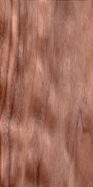 Image of Walnut (American) (103)