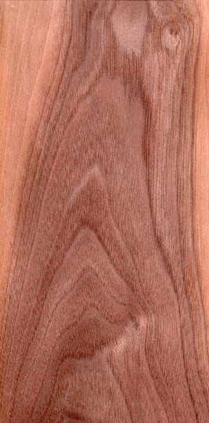 Image of Walnut (European) (107)