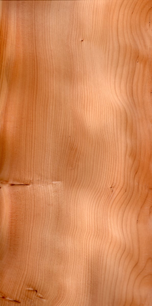 Yew (111) Suffolk Wood Veneers