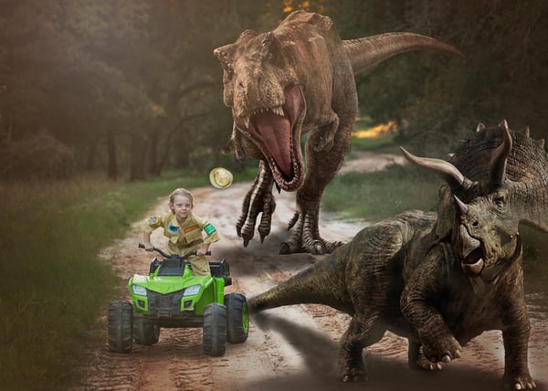 Image of Dinosaur sessions 