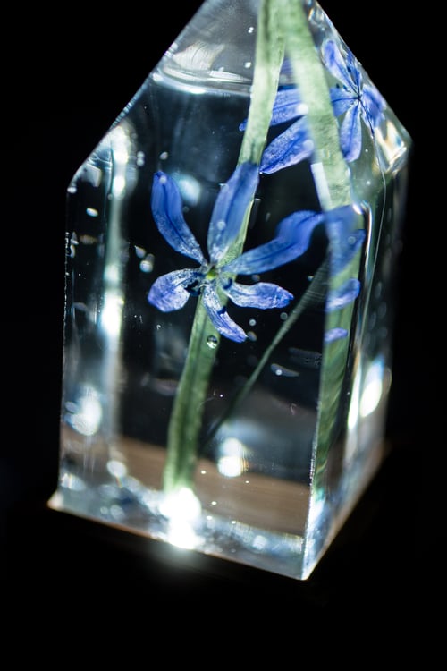 Image of Wood Squill (Scilla siberica) - Floral Desk Light #2