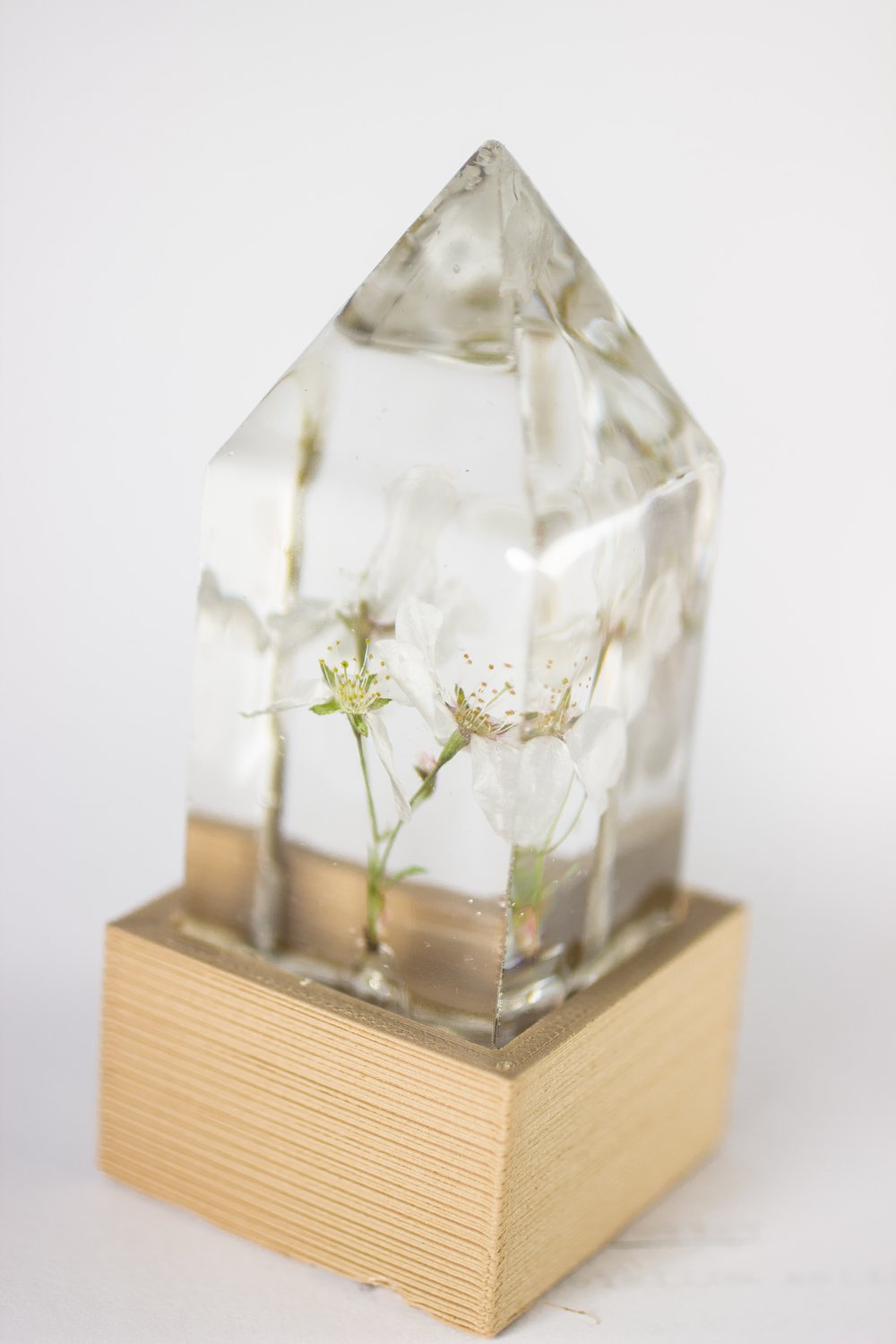 Image of Crabapple (Malus) - Floral Prism Light #2