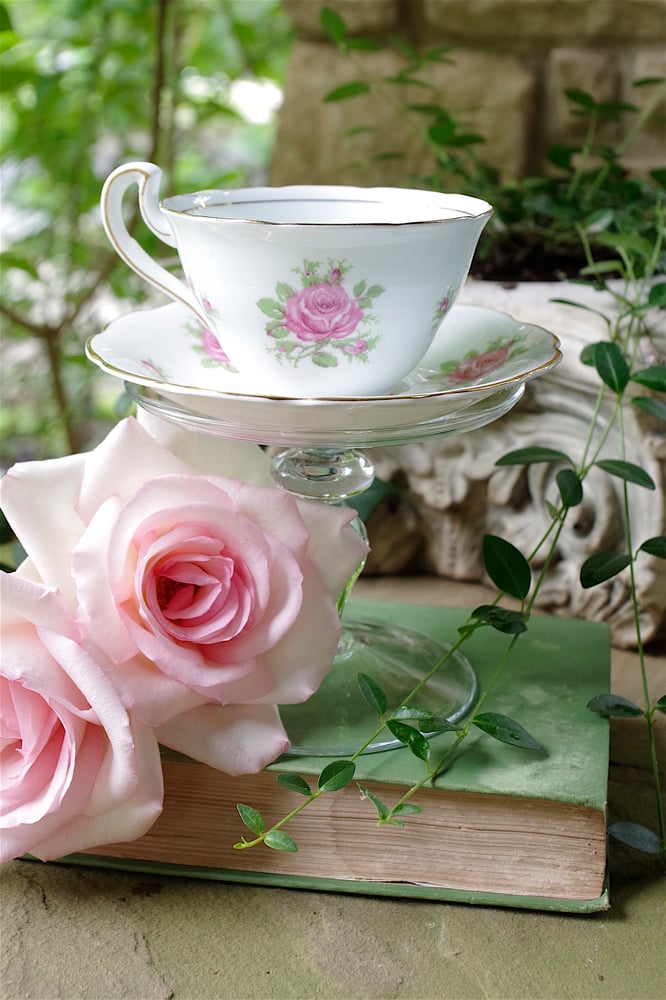 Image of English Tea Rose