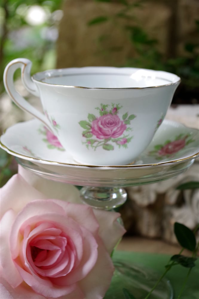 Image of English Tea Rose