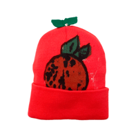 Image 1 of Orange on Orange Beanie